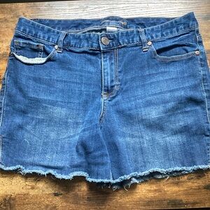 Denim Blue Jean Shorts